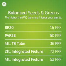 This ge 92934 is a 18w led par38 3000k. Ge Grow Light 32 Watt Par38 Led Light Bulb Balanced Light Spectrum For Seeds And Greens Medium Base Single Bulb Walmart Com Walmart Com