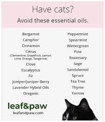 Essential Oils For Animals Are Essential Oils Safe Essential Oils Cats Essential Oils