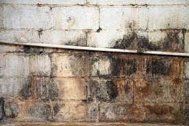 Can a basement humidity problem have an impact on the sale of your home? What Is The Ideal Basement Humidity Level
