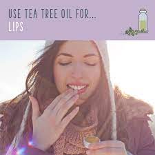 Tea Tree Oil Uses 70 Ways To Benefit From Tea Tree Oil Lip Scrub Recipe Lip Scrub Homemade Lip Scrub