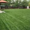 Texas bluegrass hybrids for lawn and sports turf applications in colorado. Https Encrypted Tbn0 Gstatic Com Images Q Tbn And9gcrkw5yi7vrmkfmjqlk3ma70xsrkmslorwd Sahdfzxadfbmjr B Usqp Cau