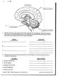 8 3rd Grade Life Science Worksheets Science Worksheets Human Body Worksheets Biology Worksheet