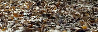 The book of henry naomi watts stars like susan, a single mum of two, employed as a waitress in a small town. The Book Of Henry P 02 Video Dailymotion