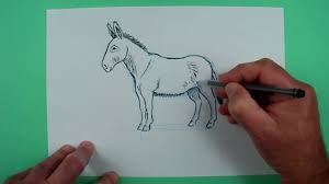 Zum schluss werden noch die konturen aufgemalt. Wie Zeichnet Man Einen Esel Zeichnen Fur Kinder Youtube