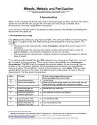 During mitosis, homologous chromosomes behave independently. Mitosis Meiosis Protocol
