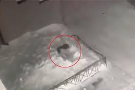 Una Nina De 6 Anos Cae De Un Cuarto Piso Y Sobrevive Al Aterrizar En La Nieve Deia
