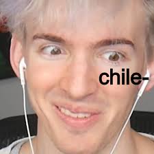 Chile Flamingo Photo Funny Flamingo Flamingo Pictures