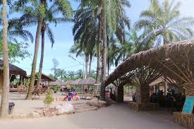 For fees not listed or to verify information, please contact the park directly. Hotelr Activity Bamboo Hut At Tadom Hill Resort Diving