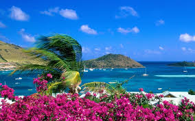 Ganesh chathurthi is also known as vinayagar chathurthi celebrated by hindus all over the world. New Wallpaper Hd The Best Nature Wallpapers In The World Flickr