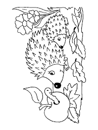For boys and girls, kids and adults, teenagers and toddlers, preschoolers and older kids at school. Hedgehog Coloring Pages Download And Print Hedgehog Coloring Pages