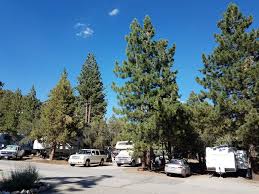 Consider setting up camp with your rental rv at holloway's marina and rv park for some of the best boat rental facilities and direct access to the water. Pine Tree Rv Park Updated 2021 Campground Reviews Big Bear Region Ca Big Bear Lake Tripadvisor