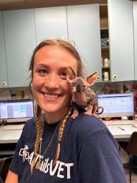 Contact Our Johnson City Veterinarians at All Tails Vet