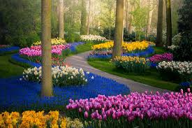 The Most Beautiful Flower Garden In The World Has No Visitors For The First Time In 71 Years And I Got To Capture It 31 Pics In 2020 Beautiful Flowers Garden