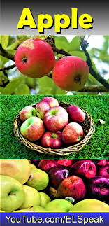 Pin By English Speaking Club On Fruits Fruit List Fruit Fruits Name In English