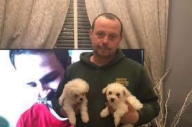 These guys will make you drool more than man's bestfriend👱🏼🔥🐶 created by @kaylinpound. Scammers Use Fake Banking App To Steal 5 000 Puppies Liverpool Echo