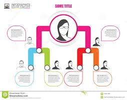 Organization Chart Infographics Design Infographics Vector