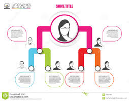 organization chart infographics design infographics vector