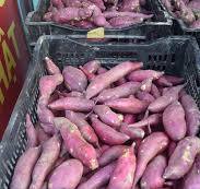 Khoai Lang nhật ruột vàng loại 1