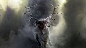Deer Wallpaper Image By Carrissa Smith On Asatru Wildlife Wallpaper Deer Art