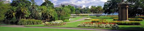 The flying fox is another example of winged wildlife that the royal botanic garden hosts, albeit reluctantly. Royal Botanic Gardens Sydney Venues Forte Catering