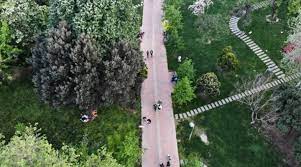 Genellikle gençlerin özgürce vakit geçirebildiği bir park olan bölgede yapılabilecek bir çok aktivite mevcut. Normallesme Sureci Rehavet Mi Yaratiyor Yasaga Ragmen Macka Parki Na Akin Ettiler