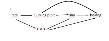 Himpunan soalan percubaan upsr matematik 2018 adalah sebahagian soalan yang telah berjaya dikumpulkan dan dikemaskini oleh gurubesar.my. Cadangan Skema Jawapan Sains Kertas 2 Upsr 2017 Sumber Pendidikan