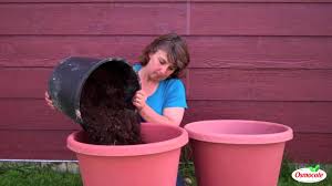 How deep do you plant potatoes in the garden. How To Grow Potatoes In A Container Youtube