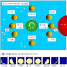 「十三夜月」の画像検索結果