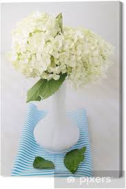 Questo è il mestiere della bianchi dino, un'azienda italiana con quarant'anni d'esperienza nel mercato dei fiori artificiali, cesteria , fiori secchi ,abeti natalizi, piante artificiali , decorazioni , complementi d'arredo , addobbi natalizi , pasquali. Quadro Su Tela Bellissimi Fiori Bianchi Estate In Un Vaso Pixers Viviamo Per Il Cambiamento