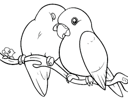 In case you don\'t find what you are looking for. Parakeet Coloring Pages Best Coloring Pages For Kids