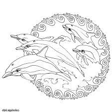 12 le meilleur coloriage mandala dauphin stock coloring pages drawings art simple couleur heureuse gratuite