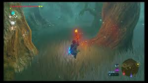 The first and most obvious is that it doesn't. How To Get The Master Sword Location Guide Zelda Breath Of The Wild Youtube