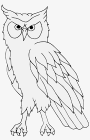 Gratis untuk usaha, pribadi & lainnya. Details Png Gambar Burung Hantu Hitam Putih Transparent Png 918x1357 Free Download On Nicepng