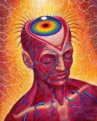 Alex Grey (@alexgreycosm) • Fotos y videos de Instagram