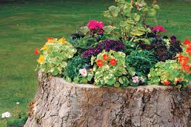 Check spelling or type a new query. How To Create A Tree Stump Planter This Old House