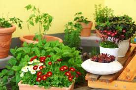 Protecting terrace garden from heat. Take Care Of Your Garden Part 6 How To Maintain A Terrace Garden Indusladies Com