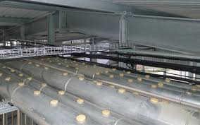 Bird deterrent gel has proved completely effective in the tropical rain and heat. Bird Free Home