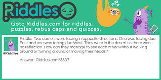 Where is the camel in the face puzzle. Opposite Camels Riddles Com