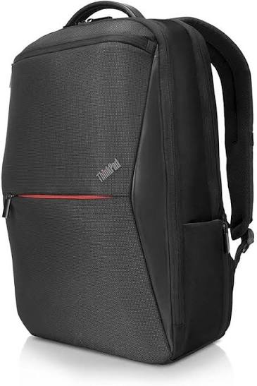 ThinkPad Professional Backpack