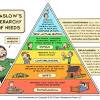 1 maslow had a difficult childhood. Https Encrypted Tbn0 Gstatic Com Images Q Tbn And9gct05l1icfb H1 Qphwpue3uuubmn7ouevdfgjk0rrq8cahw0r8z Usqp Cau