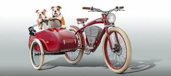 Image result for bicycle sidecar