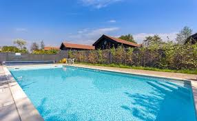 Kreatif Kolam Renang Diubah Jadi Kolam Lele Demi Bertahan Hidup Okezone Travel