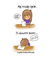 Study Lol Motivational Quotes Study Hard Funny Quotes Wallpaper
