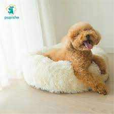 We did not find results for: Luxury Dog Bed Faux Fur Round Donut Cushion Bed For Small Dogs And Cats Cozy Comfy Dog House Bed Super Soft Cotton Mascotas Houses Kennels Pens Aliexpress