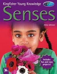 Senses (Kingfisher Young Knowledge) by Jinny Johnson