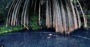 Google maps (kampung karuhun sumedang) tempat wisata di sumedang ini sangat cocok dikunjungi bersama rombongan dan keluarga, terutama yang memiliki anak. Berendam Di Mata Air Sirah Cipelang Wisata Murah Meriah Di Sumedang