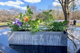 Check spelling or type a new query. Smile Farms At Home Smile Farms Inc