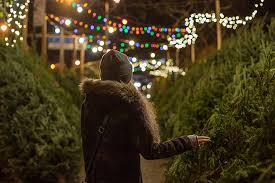 Our traditional wreaths come in three sizes with a host of customization options. The 10 Best Christmas Tree Farms In Pennsylvania
