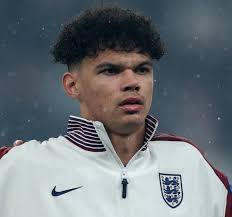 Rosa castillo goresee