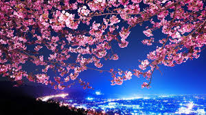 Japanese wallpapers 4k hd for desktop, iphone, pc, laptop, computer, android phone, smartphone, imac wallpapers in ultra hd 4k 3840x2160, 1920x1080 high definition resolutions. Japanese Wallpapers Desktop Background